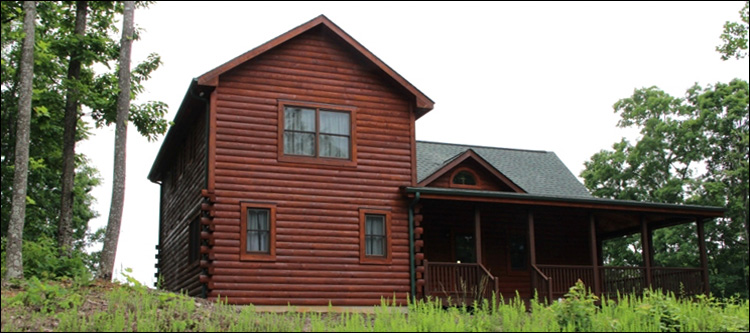 Professional Log Home Borate Application  Clarendon County,  South Carolina